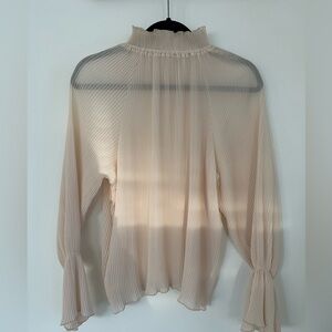 Sheer ruffle blouse